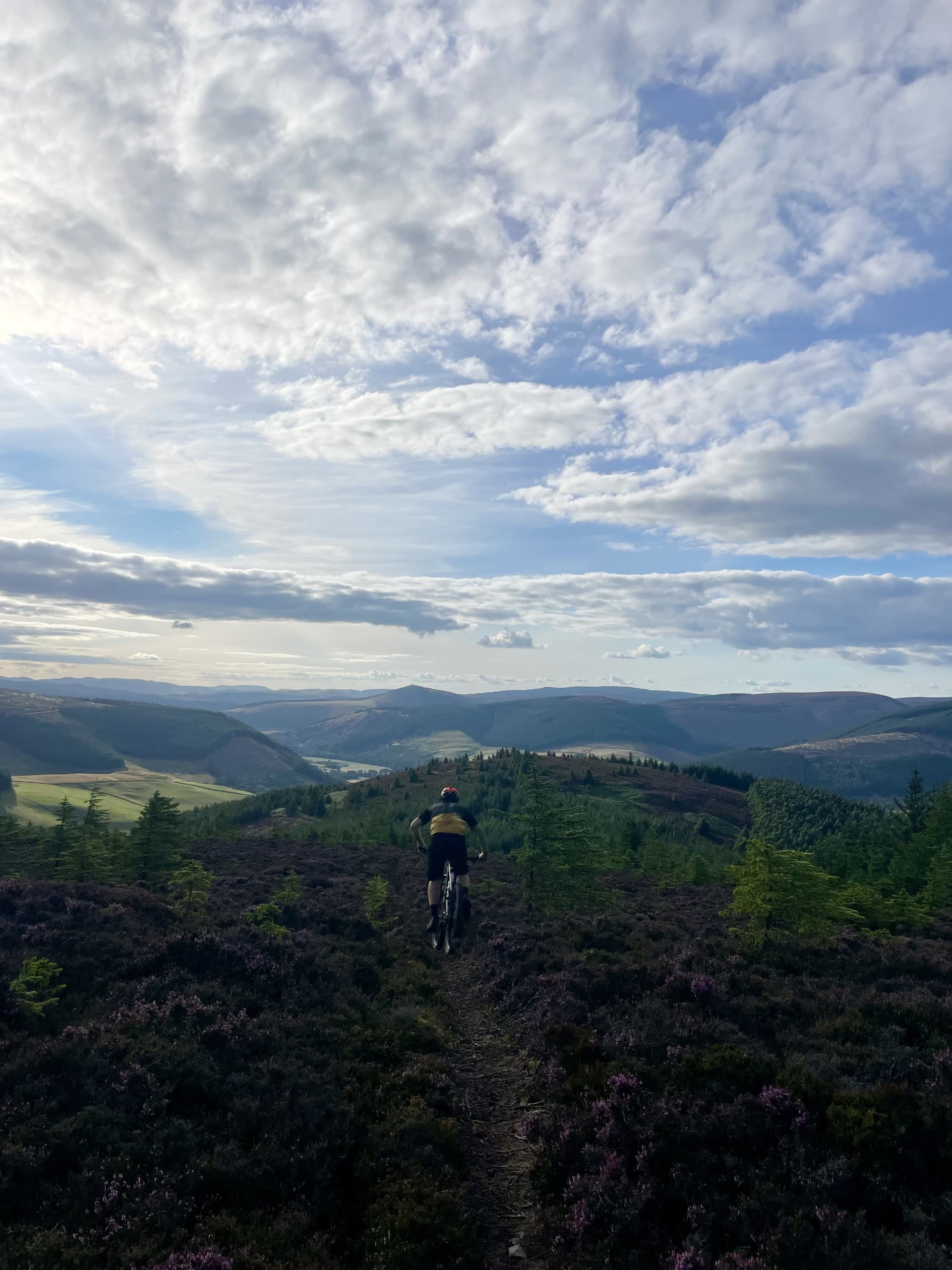 Will mountain biking along a ridge trail above Glenbenna, with the Scottish Borders hills stretching out beyond